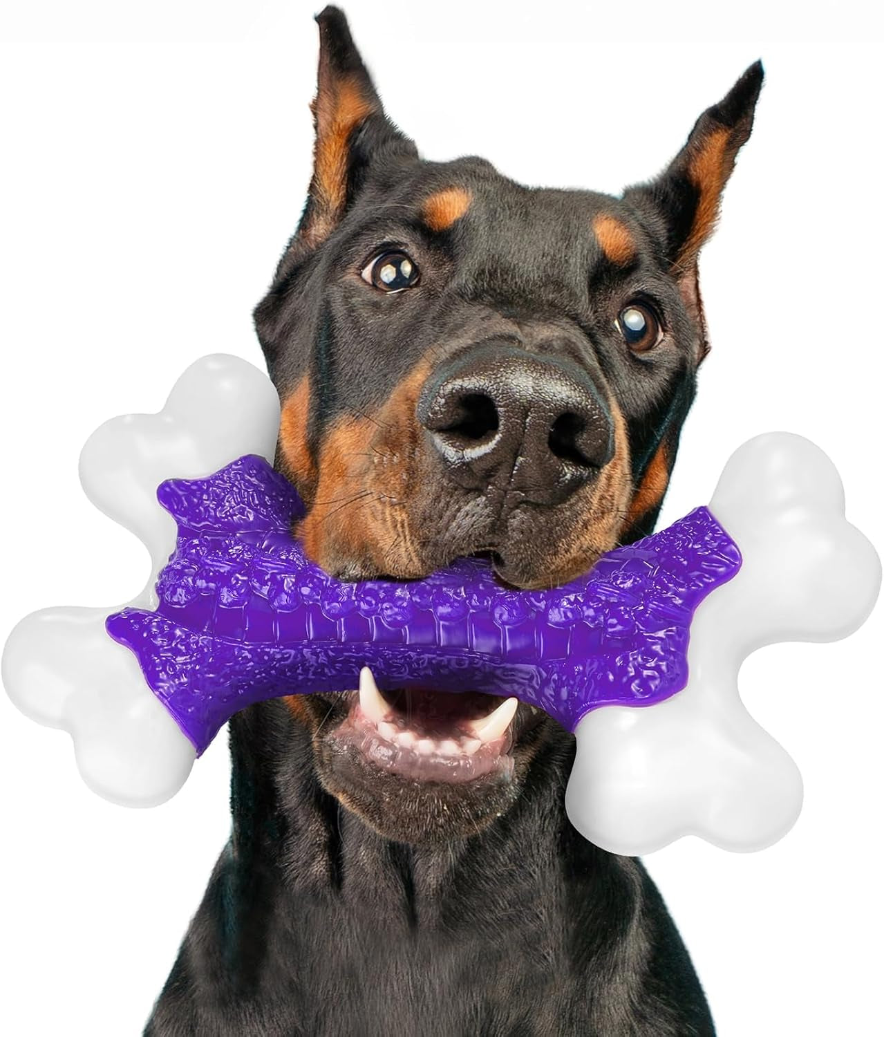 Indestructible Dog Toys for Aggressive Chewers: Bacon Flavored Hard Nylon Bone Chew Toys, Tough Dog Chew Toys for Large Dogs, Dog Toys to Keep Them Busy for Medium Large Breed, Purple
