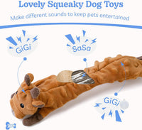 Dog Squeaky Toys 5 Pack, Bubble Plush Puppy Teething Pet Toys, Crinkle No Stuffing Animals Dog Toy, Doggies Chew for Large Small Medium Breeds