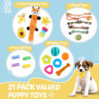 Puppy Toys 21 Pack, Small Dog Chew Toys with Rope Toys for Teething Pet Cute Squeak Toy with Treating Ball for Puppy, Small Dogs - 21 Pack
