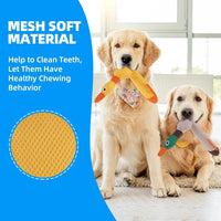 Floating Dog Water Pool Toys 2 Pack for Swimming Pool, Interactive Crinkle Pet Puppy Chew Toys for Play and Training, Funny Duck Toy for Small Medium Large Breed, Wild & Yellow Duck