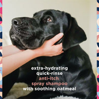 Anti-Itch Dog Shampoo with Two-Way Spray, Honey Oat Blossom, 16Oz