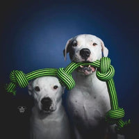 Knot-N-Chew Rope Dog Toy, 4 Knot Squeaker, Large/X-Large