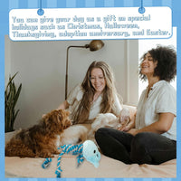 Tough Dog Toys for Puppies and Small-Medium Dogs, Tug of War and Plush Stuffed Animals for Teething and Chewing Fun (Hippo)