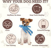 No Stuffing Dog Toys 5 Pack, Crinkle Interactive Dogs Toy for Boredom, Puppy Toys for Teething to Keep Them Busy, Cute Squeaky Dogs Toy for Small, Medium, and Large Breed | Puppy Toys for Teething to Keep Them Busy, Cute Squeaky Dogs Toy for Small, Medium, and Large Breed