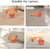 Interactive Dog Toys for Small Dogs – Peppy Pet Ball & Chase Buddy Dog Toy Active Rolling Puppy Toys to Keep Them Busy, Daily Training Interactive Puppy Toys