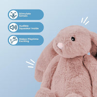 Bunny Buddy Squeaky Plush Dog Toy - Mauve, Small | Soft Plush, Squeaks & Crinkles, Perfect for Moderate Chewers, Toss & Fetch Play, Stress & Anxiety Reliever, Ideal Gift Toy