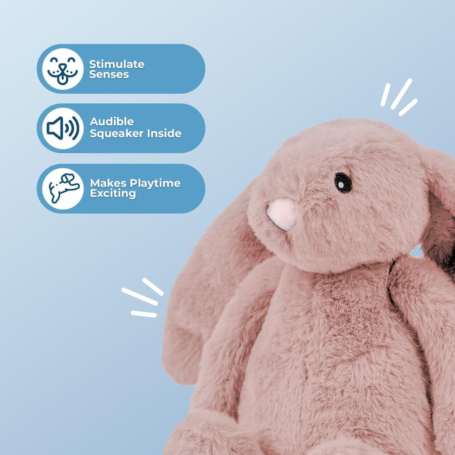 Bunny Buddy Squeaky Plush Dog Toy - Mauve, Small | Soft Plush, Squeaks & Crinkles, Perfect for Moderate Chewers, Toss & Fetch Play, Stress & Anxiety Reliever, Ideal Gift Toy