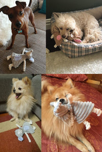 No Stuffing Dog Toys with Squeaker, Durable Dog Chew Toys, Small Dogs & Puppies, Rabbit & Elephant