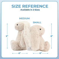 Bunny Buddy Squeaky Plush Dog Toy - Beige, Small | Soft Plush, Squeaks & Crinkles, Perfect for Moderate Chewers, Toss & Fetch Play, Stress & Anxiety Reliever, Ideal Gift Toy