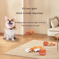Interactive Dog Toys for Small Dogs – Peppy Pet Ball & Chase Buddy Dog Toy Active Rolling Puppy Toys to Keep Them Busy, Daily Training Interactive Puppy Toys
