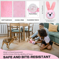 Squeaky Dog Toys for Aggressive Chewers, 3 in 1, Tough Dog Ball | Dog Chew Toys with 3 Layers, to Keep Them Busy, Interactive for Small, Medium and Large Dogs, Gift Box, Bunny