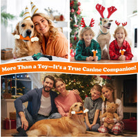 Indestructible Dog Toys for Aggressive Chewers: Peanut Butter Flavored Hard Nylon Bone Chew Toys, Tough Dog Chew Toys for Large Dogs, Dog Toys to Keep Them Busy for Medium Large Breed, Orange