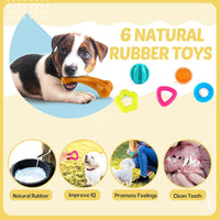 Puppy Toys 21 Pack, Small Dog Chew Toys with Rope Toys for Teething Pet Cute Squeak Toy with Treating Ball for Puppy, Small Dogs - 21 Pack