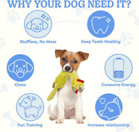 Dog Squeaky Toys Pack, Bubble Plush Puppy Teething Pet Toys, Crinkle No Stuffing Animals Dog Toy, Doggies Chew for Large Small Medium Breeds