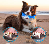 Dog Chew Toys for Aggressive Chewers, Durable Toys for Large Dogs, Heavy Duty Indestructible Large Dog Toys, Tough Dog Toys for Medium/Large Dogs Breed