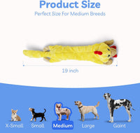Dog Squeaky Toys Pack, Bubble Plush Puppy Teething Pet Toys, Crinkle No Stuffing Animals Dog Toy, Doggies Chew for Large Small Medium Breeds