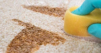 Capture Spot and Stain Remover Carpet - Dirt, Juice, Coffee, Wine, Food And