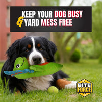 - Durable & Strong Dog Toy Green Dino with Squeaker, Kevlar-Reinforced for Aggressive Chewers.