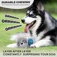Squeaky Dog Toys for Aggressive Chewers, 3 in 1, Tough Dog Ball | Dog Chew Toys with 3 Layers, to Keep Them Busy, Interactive for Small, Medium and Large Dogs, Gift Box, Raccoon