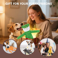 No Stuffing Dog Toys 5 Pack, Crinkle Interactive Dogs Toy for Boredom, Puppy Toys for Teething to Keep Them Busy, Cute Squeaky Dogs Toy for Small, Medium, and Large Breed
