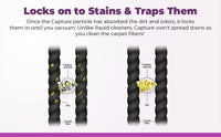 Capture Carpet Cleaner Kit 40 Oz Stain Remover Deodorizer Safe for All Carpets