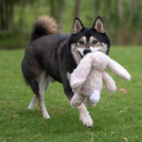 Bunny Buddy Squeaky Plush Dog Toy - Beige, Small | Soft Plush, Squeaks & Crinkles, Perfect for Moderate Chewers, Toss & Fetch Play, Stress & Anxiety Reliever, Ideal Gift Toy