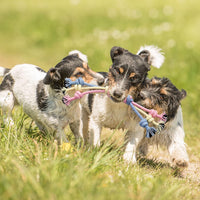 Puppy Chew Toys for Teething Small Dog Toys Puppy Teething Toys Dog Chew Toy Rope Balls Interactive Teeth Cleaning Tug Toys Storage Basket