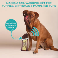 Barkbells Pawtein Bar Plush Dog Toy, Funny Parody Toys | Interactive Stuffed Squeaky Toys for Small to Large Dogs, Soft & Cuddly, Indoor/Outdoor Play, Machine Washable, Brown/Yellow