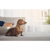 Arm & Hammer Itch Relief Peppermint Scented Dog Spray - 8 Fl Oz: Topical Pet Skin Treatment, All Ages, Dog Use