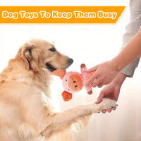Dog Toys Squeak, Tough Plush Puppy Chew Toy for Aggressive Chewers | 5 Pack Durable Plush Puppy Chew Toys for Teething, Stuffed Dog Toy for Large Medium Small Breed to Keep Them Busy