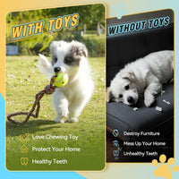 Dog Rope Toys for Small-Medium Dogs. 18 Pack for Teeth Cleaning, Chewing, Training Balls and Squeaky Toys. Best for Entertainment, Interaction,Tug of War Indoor and Outdoor.