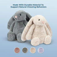 Bunny Buddy Squeaky Plush Dog Toy - Beige, Small | Soft Plush, Squeaks & Crinkles, Perfect for Moderate Chewers, Toss & Fetch Play, Stress & Anxiety Reliever, Ideal Gift Toy