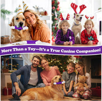 Indestructible Dog Toys for Aggressive Chewers: Bacon Flavored Hard Nylon Bone Chew Toys, Tough Dog Chew Toys for Large Dogs, Dog Toys to Keep Them Busy for Medium Large Breed, Purple
