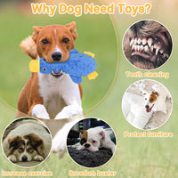No Stuffing Dog Toys for Aggressive Chewers, Squeaky Dog Toys for Large Medium and Small Dogs, Puppy Dog Chew Toys to Keep Them Busy Pack of 5