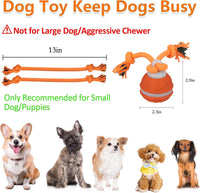 Interactive Dog Toys for Small Dogs – Peppy Pet Ball & Chase Buddy Dog Toy Active Rolling Puppy Toys to Keep Them Busy, Daily Training Interactive Puppy Toys