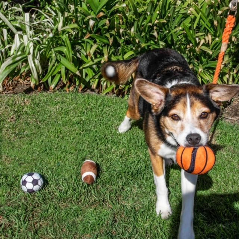 Sports Balls, Dog Toy with Squeakers, 3 Pack: Football, Soccer, Basketball
