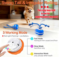 P06 Interactive Dog Toys Dog Balls, Electric Automatic Moving and Rolling Dog Toy with Rope for Small Medium Dogs, Fun Smart Puppy Toy S for Boredom & Training, Dog Toys to Keep Them Busy (Orange) | Auto-Moving Puppy Toys, 3 Modes with RGB Lights & Bird Sounds, Bite-Resistant Rope, IP54 Waterproof, Type-C Fast Charge