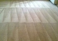 Capture Carpet Cleaner Kit 40 Oz Stain Remover Deodorizer Safe for All Carpets