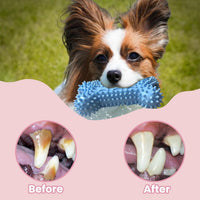 Puppy Toys for Teething, Dog Chew Toys for Small & Medium Breeds, Soothe Teething Pain, Lessens Anxiety, Durable, All-Natural Rubber and Cotton, 4-Pack (Pink)