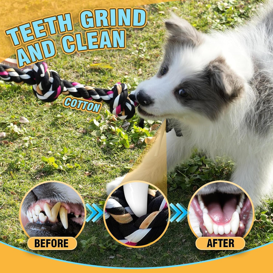 Dog Rope Toys for Small-Medium Dogs. 18 Pack for Teeth Cleaning, Chewing, Training Balls and Squeaky Toys. Best for Entertainment, Interaction,Tug of War Indoor and Outdoor.