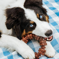 Power Chew Customer Favorites Dog Chew Toys, 3 Count, Large | Flavor Medley, Peanut Butter, and Beef Flavor, Durable Dog Toys for Aggressive Chewers, for Large Breeds up to 50 Lbs