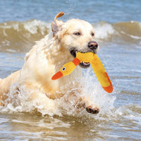 Floating Dog Water Pool Toys 2 Pack for Swimming Pool, Interactive Crinkle Pet Puppy Chew Toys for Play and Training, Funny Duck Toy for Small Medium Large Breed, Wild & Yellow Duck