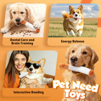 3 Pack Funny Dog Toys for Small Medium Dogs, Squeaky Dog Pet Toy