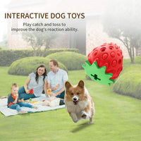 Strawberry Flavor Chew Toy for Aggressive Chewers, Dog Toothbrush Toy, Interactive Dog Toy for Small Medium Dogs