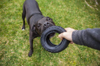 Mammoth Tirebiterii – Natural Rubber Dog Toys for Extreme Chewers – Dog Toys for Extra Long Interactive Play – Aggressive Chewer Toys for Medium - Large Dogs - Large 6”