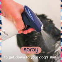 Anti-Itch Dog Shampoo with Two-Way Spray, Honey Oat Blossom, 16Oz