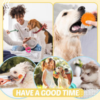 Puppy Toys 21 Pack, Small Dog Chew Toys with Rope Toys for Teething Pet Cute Squeak Toy with Treating Ball for Puppy, Small Dogs - 21 Pack