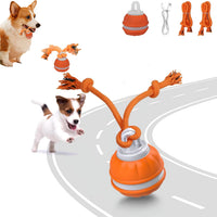 Interactive Dog Toys for Small Dogs – Peppy Pet Ball & Chase Buddy Dog Toy Active Rolling Puppy Toys to Keep Them Busy, Daily Training Interactive Puppy Toys
