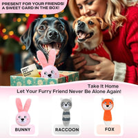 Squeaky Dog Toys for Aggressive Chewers, 3 in 1, Tough Dog Ball | Dog Chew Toys with 3 Layers, to Keep Them Busy, Interactive for Small, Medium and Large Dogs, Gift Box, Bunny