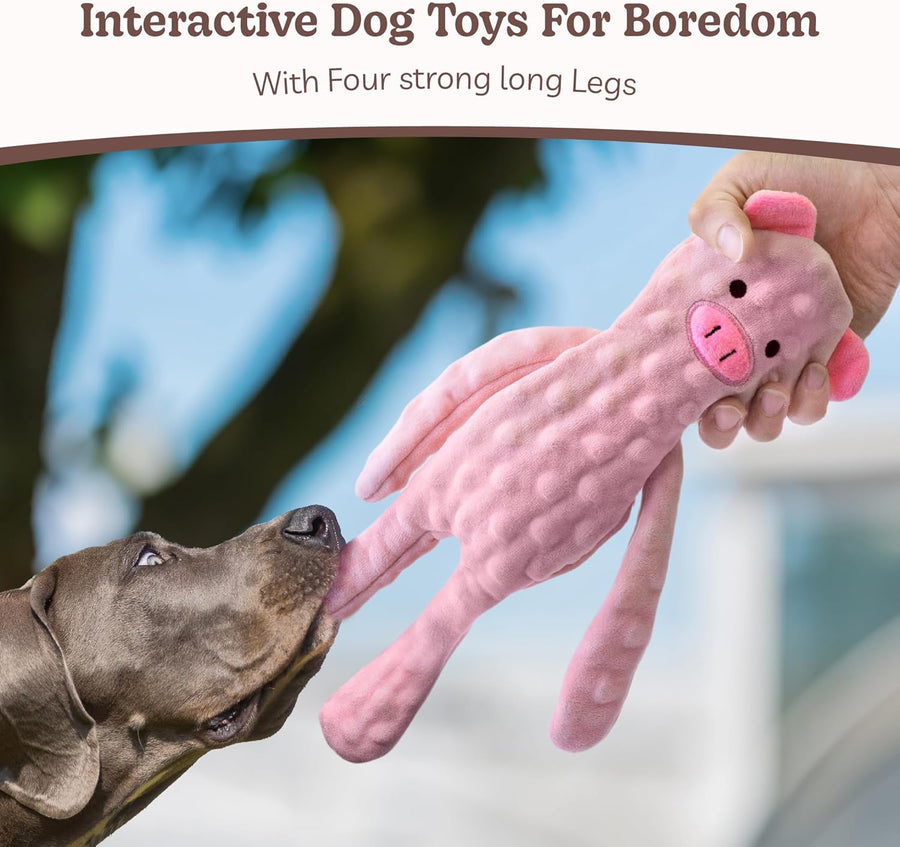 No Stuffing Dog Toys 5 Pack, Crinkle Interactive Dogs Toy for Boredom, Puppy Toys for Teething to Keep Them Busy, Cute Squeaky Dogs Toy for Small, Medium, and Large Breed